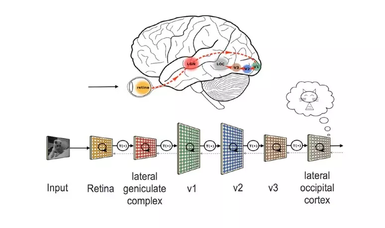 Deep learning brain