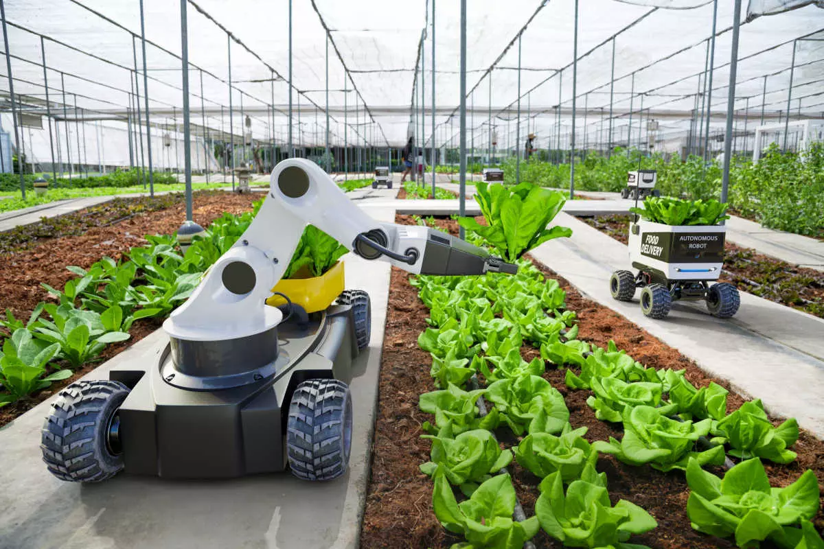 Harvesting and cultivating robots